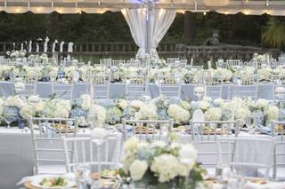Timeless Styled Events - 7