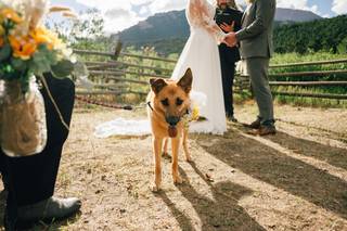 Colorado Weddings by Dan - 17