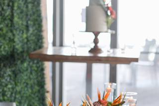 Encanto Weddings + Events - 25