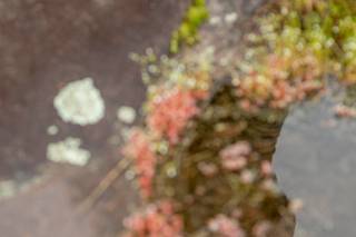 Chase Lanier Photography - 40