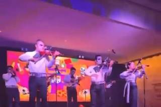 Mariachi Perla de México - 6