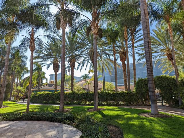 Sheraton Park Hotel at the Anaheim Resort - 2