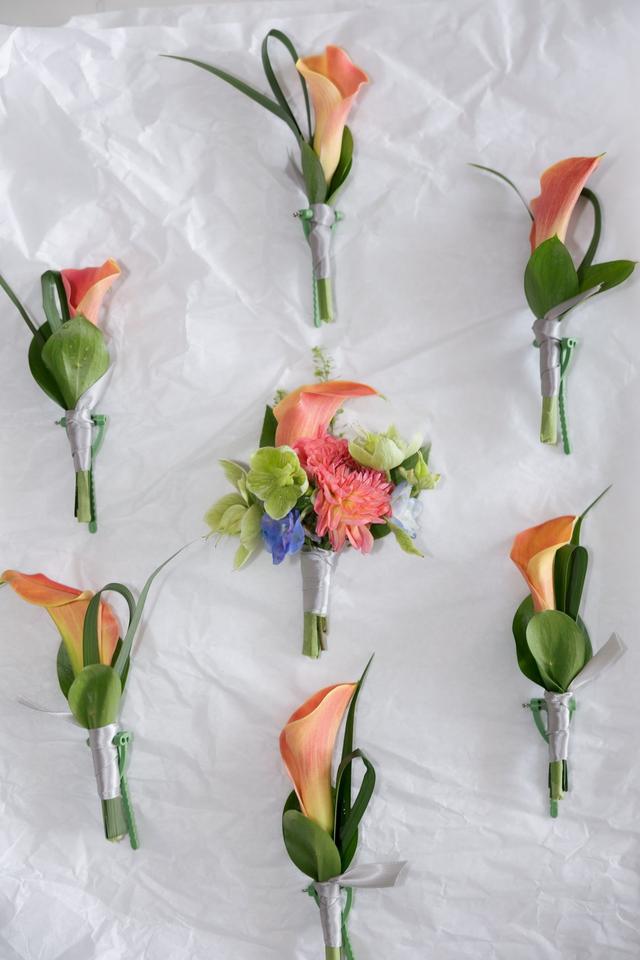 Blooming Flowers - 2