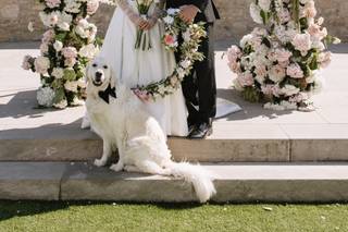 ROQUE Events - 19