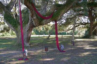 Planned to Perfection Events and Rentals - 6