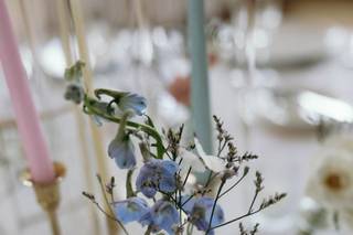 Petals & Leaves - 5