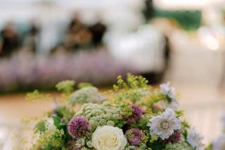 Sarah Worden Natural Design - 5