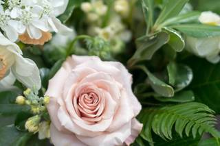 Flourish Flower Farm - 16