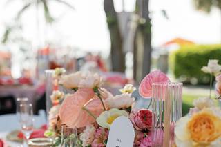 Hakuna Matata Weddings and Events - 7