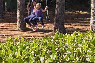 The Springs in Magnolia - 43