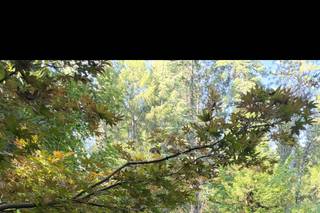 Harmony Ridge Lodge - 7