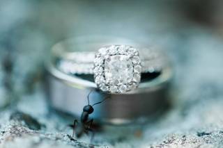 RW Photography - 61