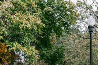 Laura Rose Photography - 25