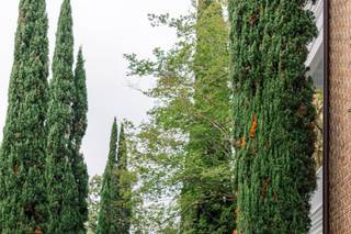 Charleston Photo Art - 7