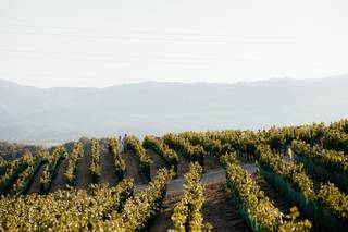 Merryvale Vineyards - 9
