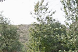 Monserate Winery - 69