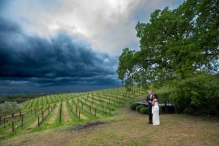 Merryvale Vineyards - 14
