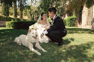Hart 2 Paw - 6