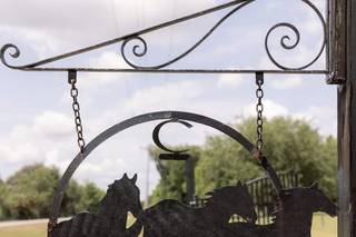 C Bar Ranch - 18