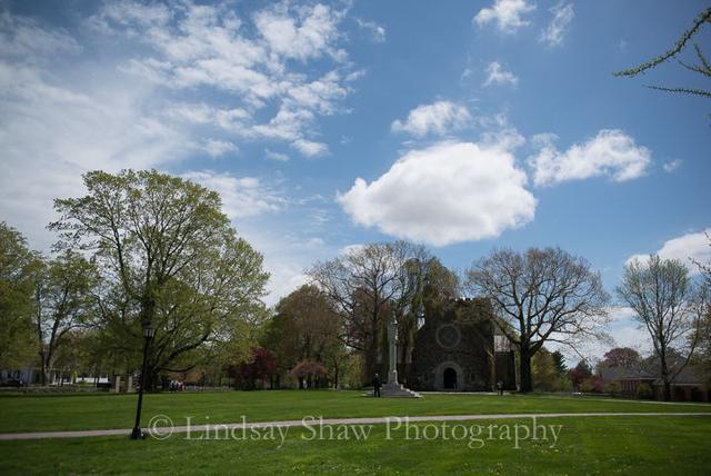 Lindsay Shaw Photography - 4