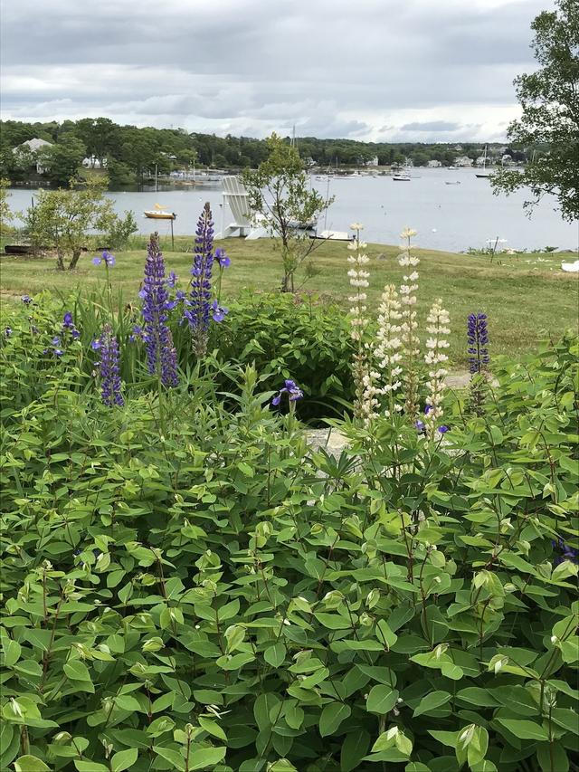 Harborfields - 4