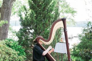 Ashlyn Wrobleski, Professional Harpist - 4