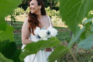 Harper & Brothers Images - 6