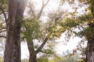 Spring Creek Weddings and Events - 6