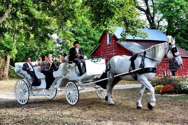 Dream Horse Carriage Company - 4
