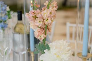 Silver Street Flower Farm - 7