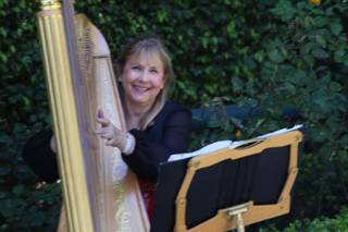 Orange County Harpist - 1