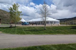 Green Lily Events - 4