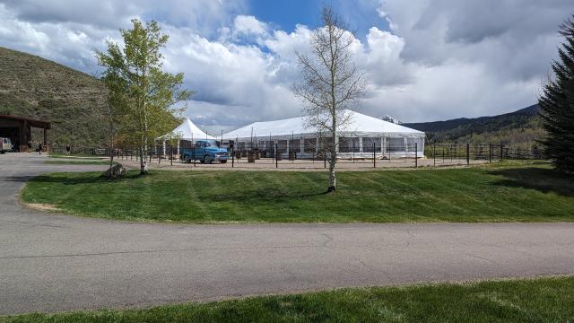 Green Lily Events - 1