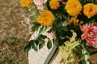STITCHDOWN FARM - 8