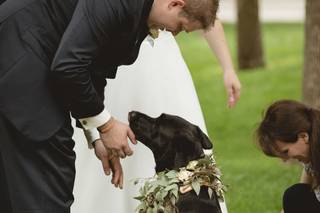 Doggy Social or Doggy Social Weddings - 14