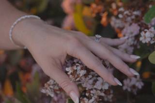 Lost Isle | Photo & Video - 7
