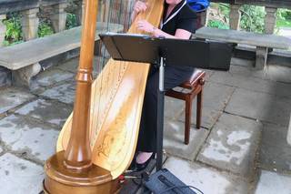 Debbie Beck - Harpist - 14