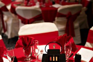 Craig Vollmer Photography - 8