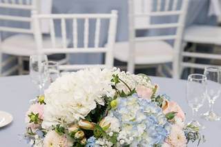 Sarah Fischback Photography - 9