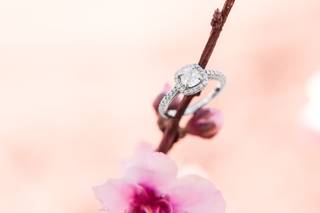 Tiffany L. Johnson Photography - 31