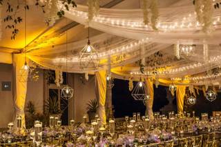 Noel Christmas/Wedding Light Professional, Inc. - 3
