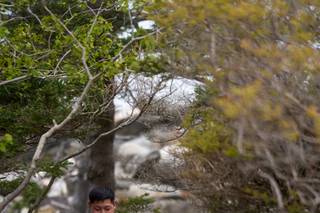 BrightWorks Photography - 12