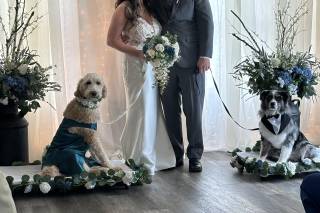 Always Magnolia - 11