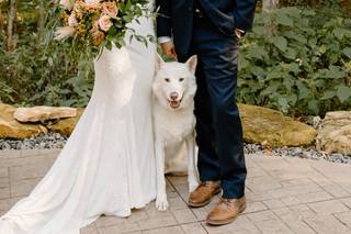 Christina Naselli Photography - 9