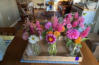 Butterbee Farm - 8