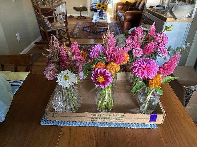 Butterbee Farm - 4