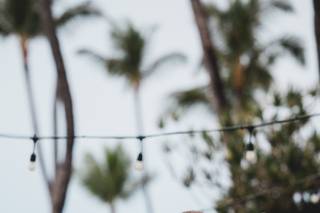 Tara Lee Photography - 57