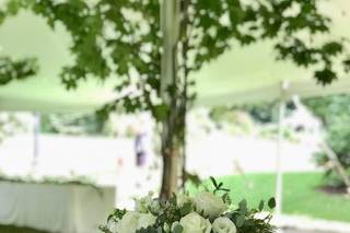 Damselfly Designs - 50