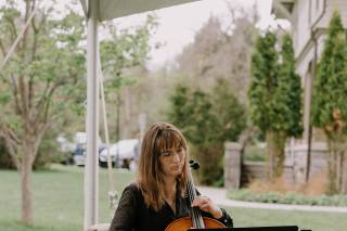 Montana Cello Studio - 1