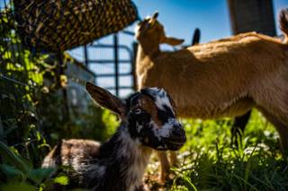 Gilbertsville Farmhouse - 5